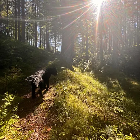 Haus Am - Pur Apartamento