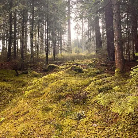 Lejlighed Haus Am - Pur Friedenweiler