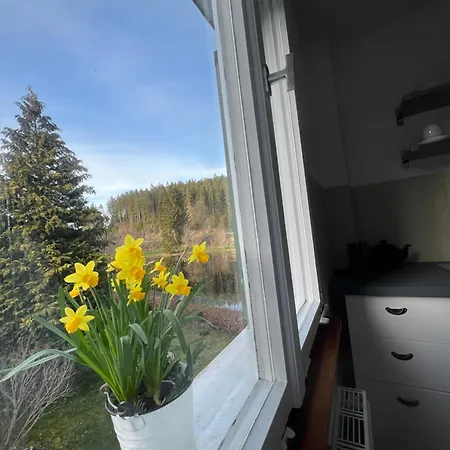 Haus Am - Pur * Friedenweiler