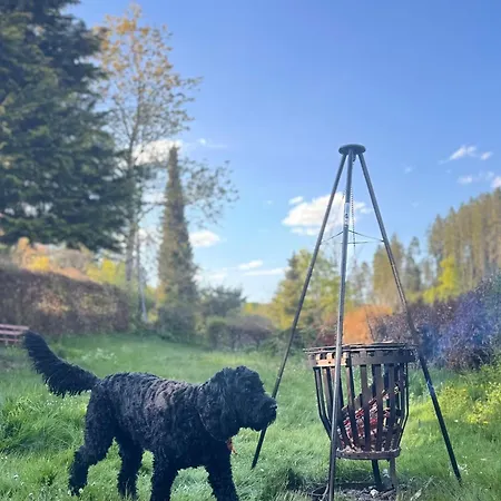 Haus Am - Pur Lejlighed *