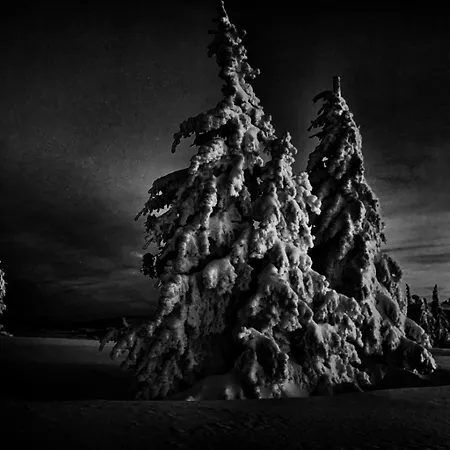 Haus Am - Pur Friedenweiler