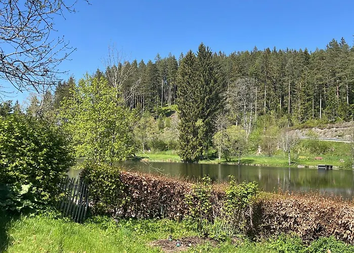 Haus Am - Pur アパート Friedenweiler