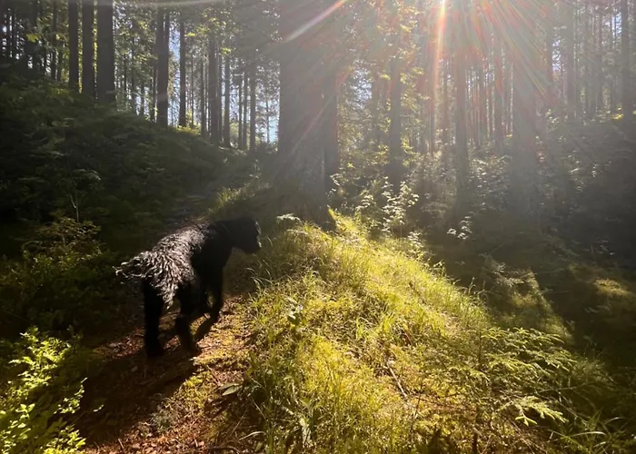 Haus Am - Pur Apartmán