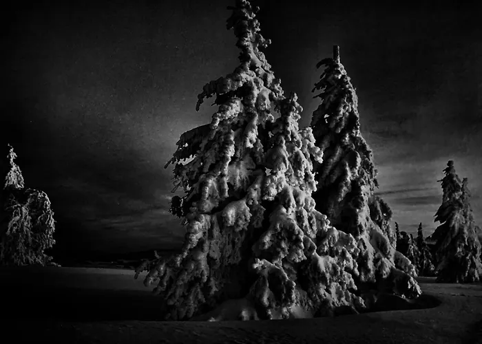 Haus Am - Pur Friedenweiler